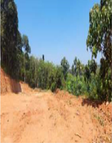 Titus George Image, Kerala